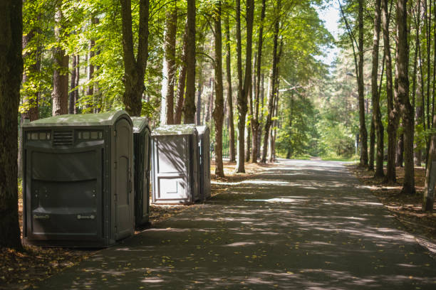 Affordable portable toilet rental in Lake Catherine, IL